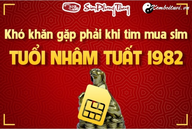 Sinh năm NHÂM TUẤT 1982 hợp sim số nào