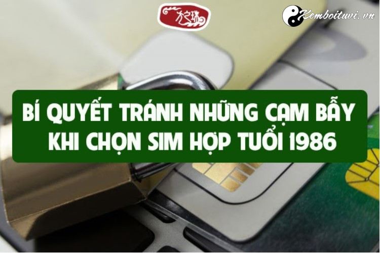 tuoi-binh-dan-1986-hop-so-dien-thoai-nao